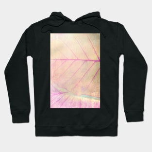 Leaf Abstract Hoodie